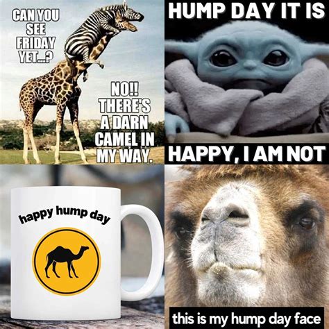 happy hump day meme|happy hump day meme disney.